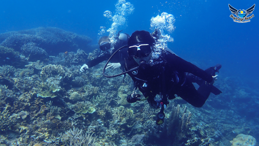A GUIDE Shipwreck Diving in Coron, Palawan