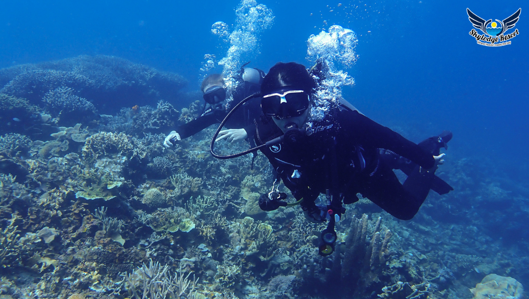 A GUIDE Shipwreck Diving in Coron, Palawan